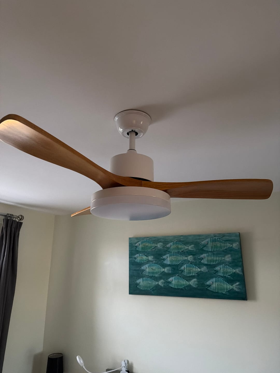 Customer photo review of WOMO Scandi Reversible Ceiling Fan with Light-WM5002