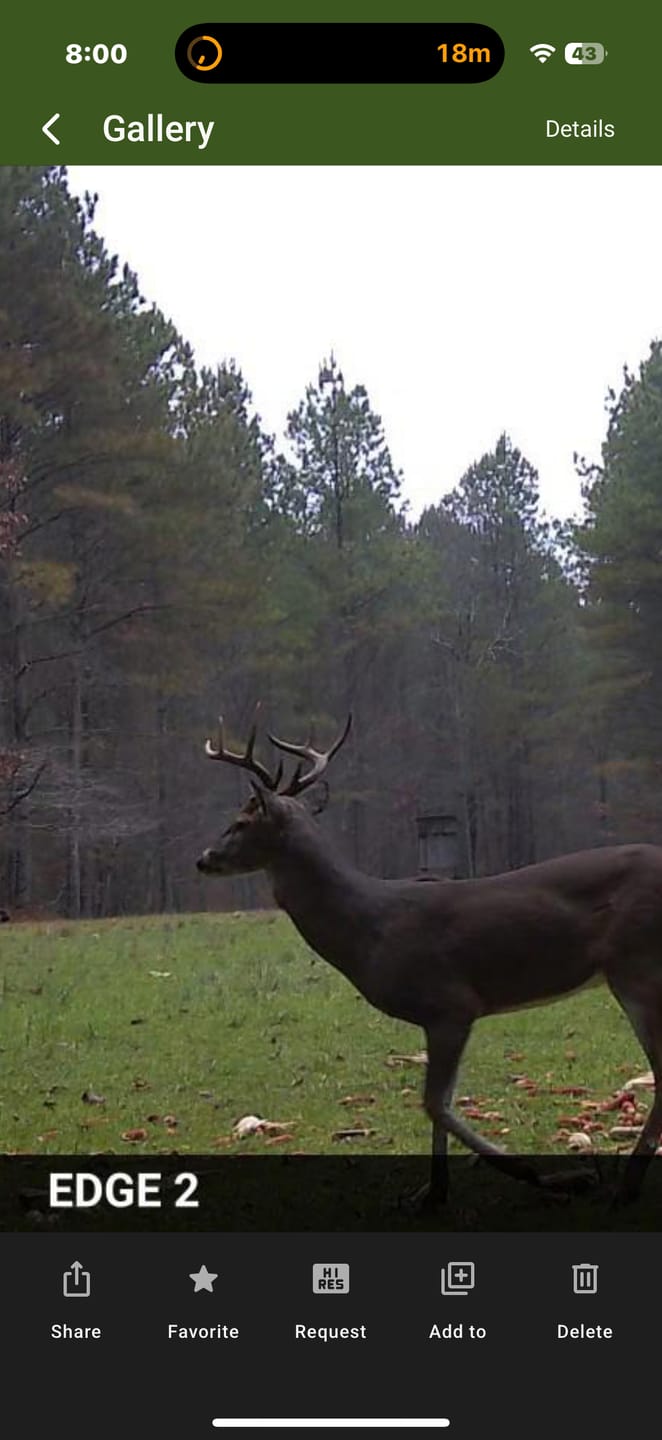 Customer photo review of GardePro A60 Non-Cellular Trail Camera