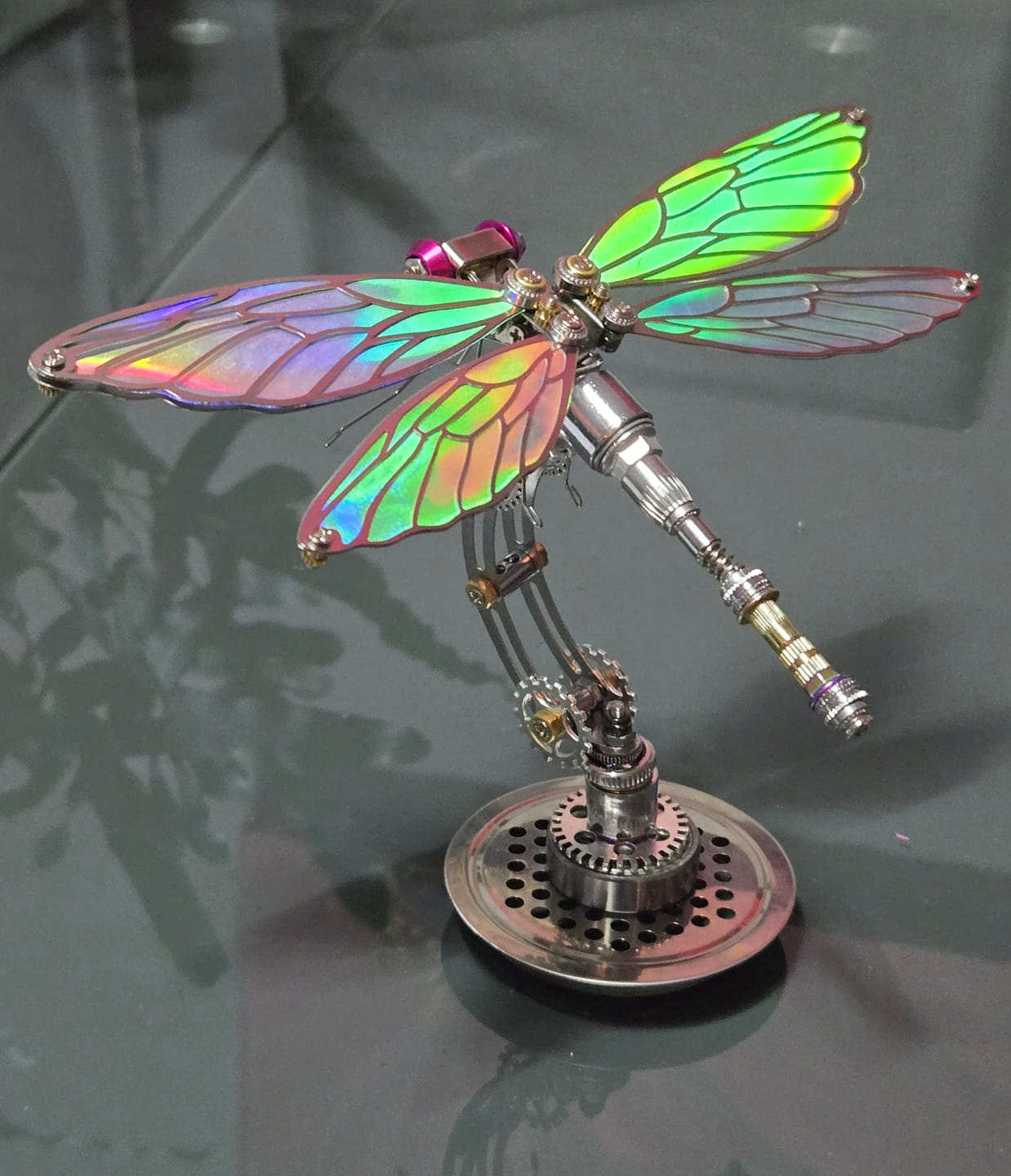 Customer photo review of Dragonfly