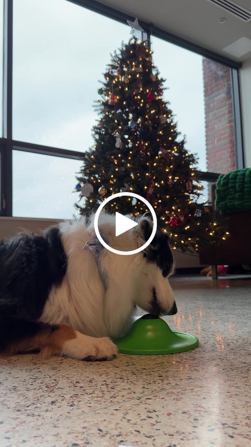 Customer video review of Soothing Saucer