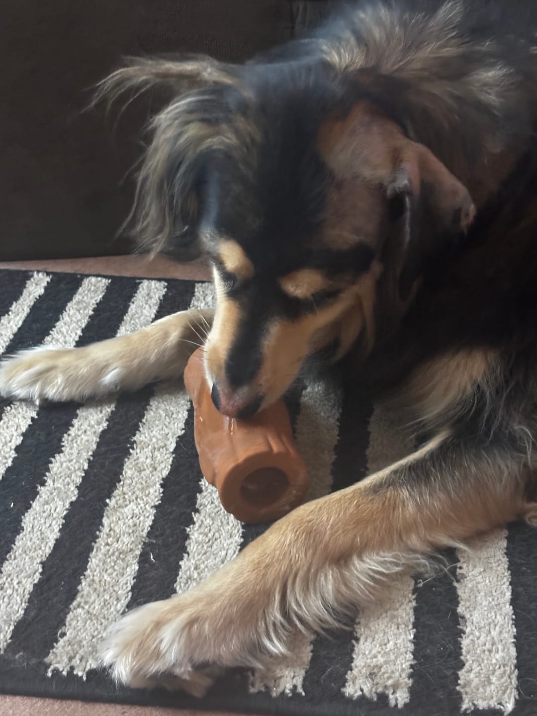 Customer photo review of Tronco Mágico THE DOGS — Calma con Snacks Congelados