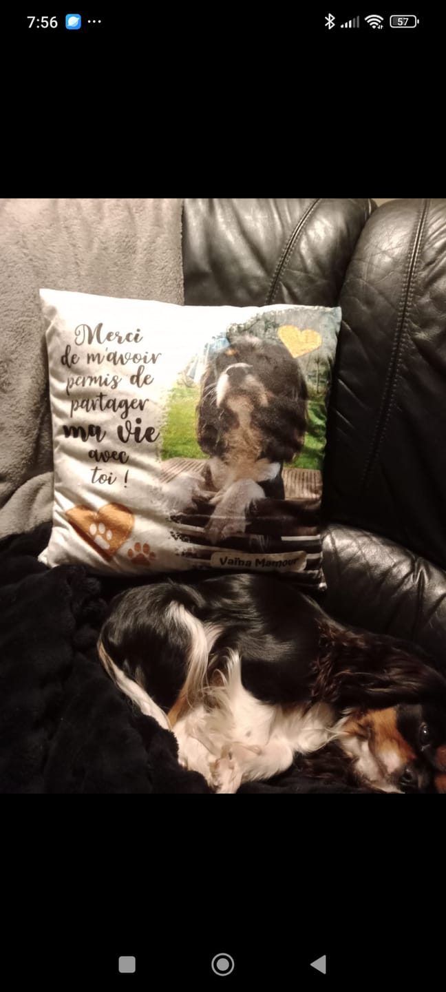 Customer photo review of Merci - Coussin personnalisé