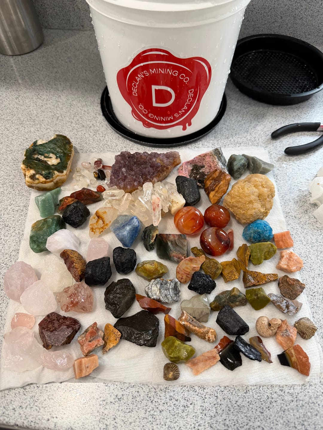 Customer photo review of Declan's Mining Bucket