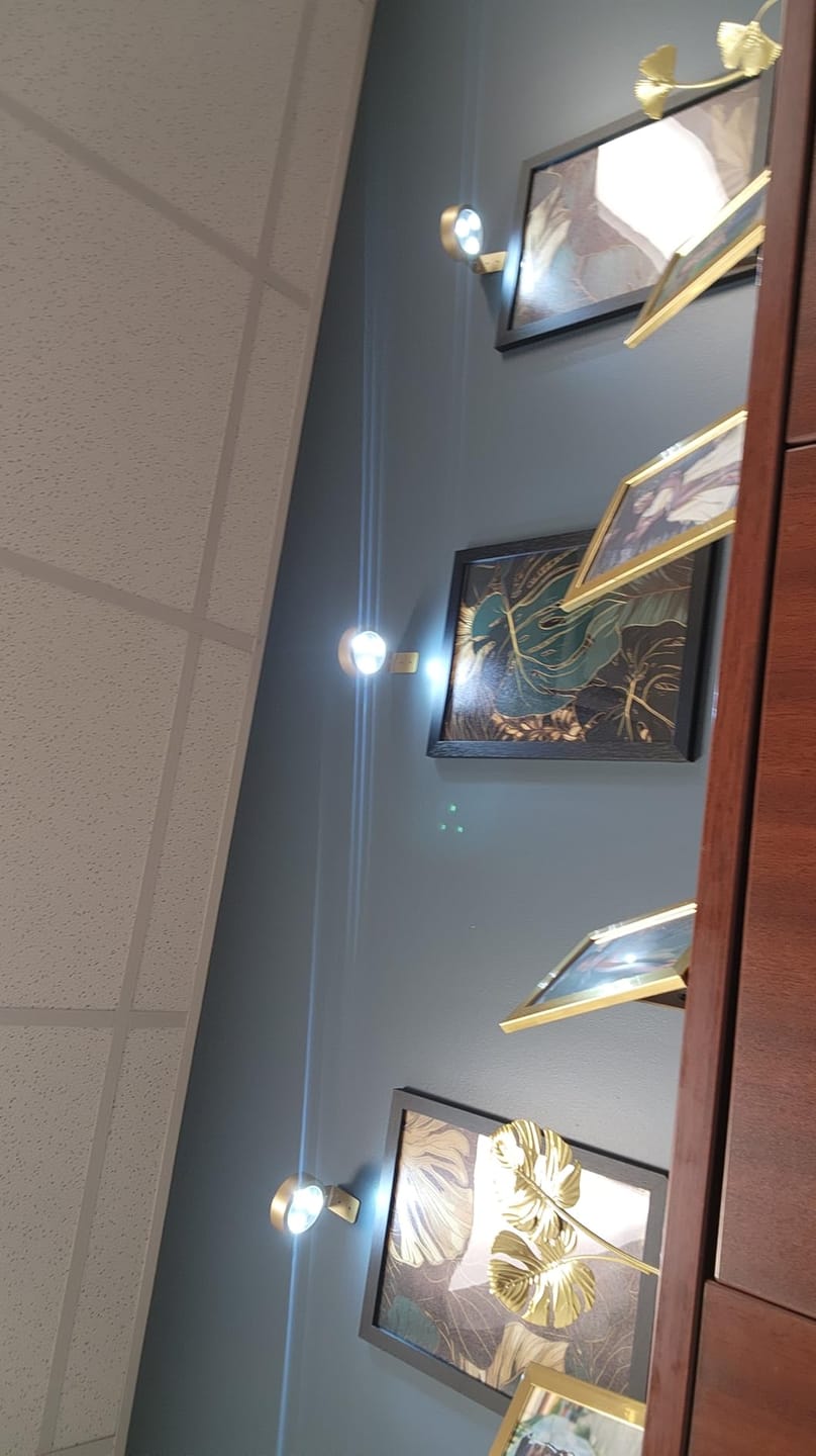Customer photo review of LightsCordless™ Rechargeable Picture Light - Illuminate Your Art Wirelessly