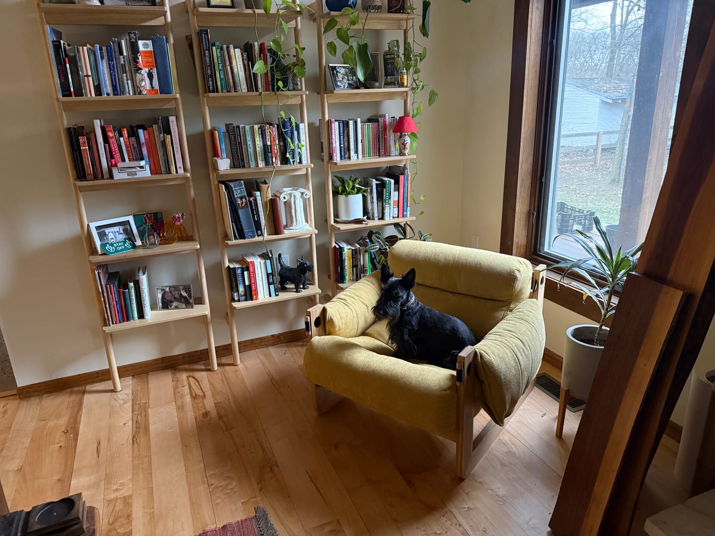 Customer photo review of Sling Lounge Chair