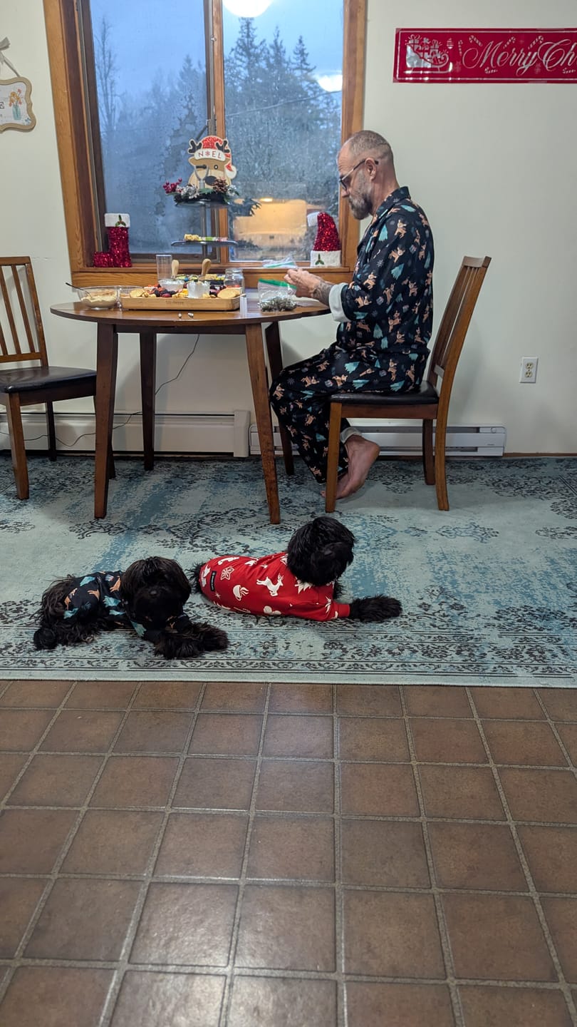 Customer photo review of Dog Christmas Pajama - Red Cheer
