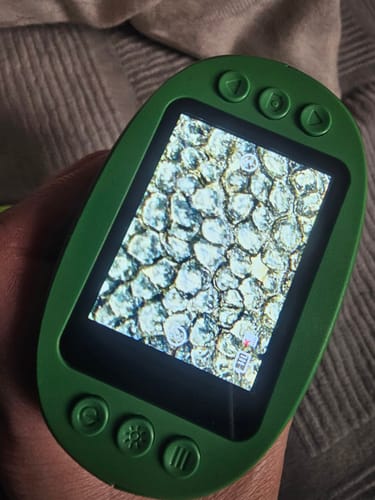 Ein Kunde hält das grüne Edubini Abenteuer-Mikroskop in der Hand. Das Display zeigt eine scharfe, vergrößerte Ansicht.