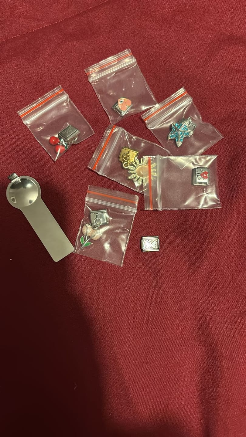 Customer photo review of Charm Tortuga