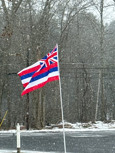 Customer photo review of State of Hawaii Flag - Official Design and Specifications - Outdoor Nylon