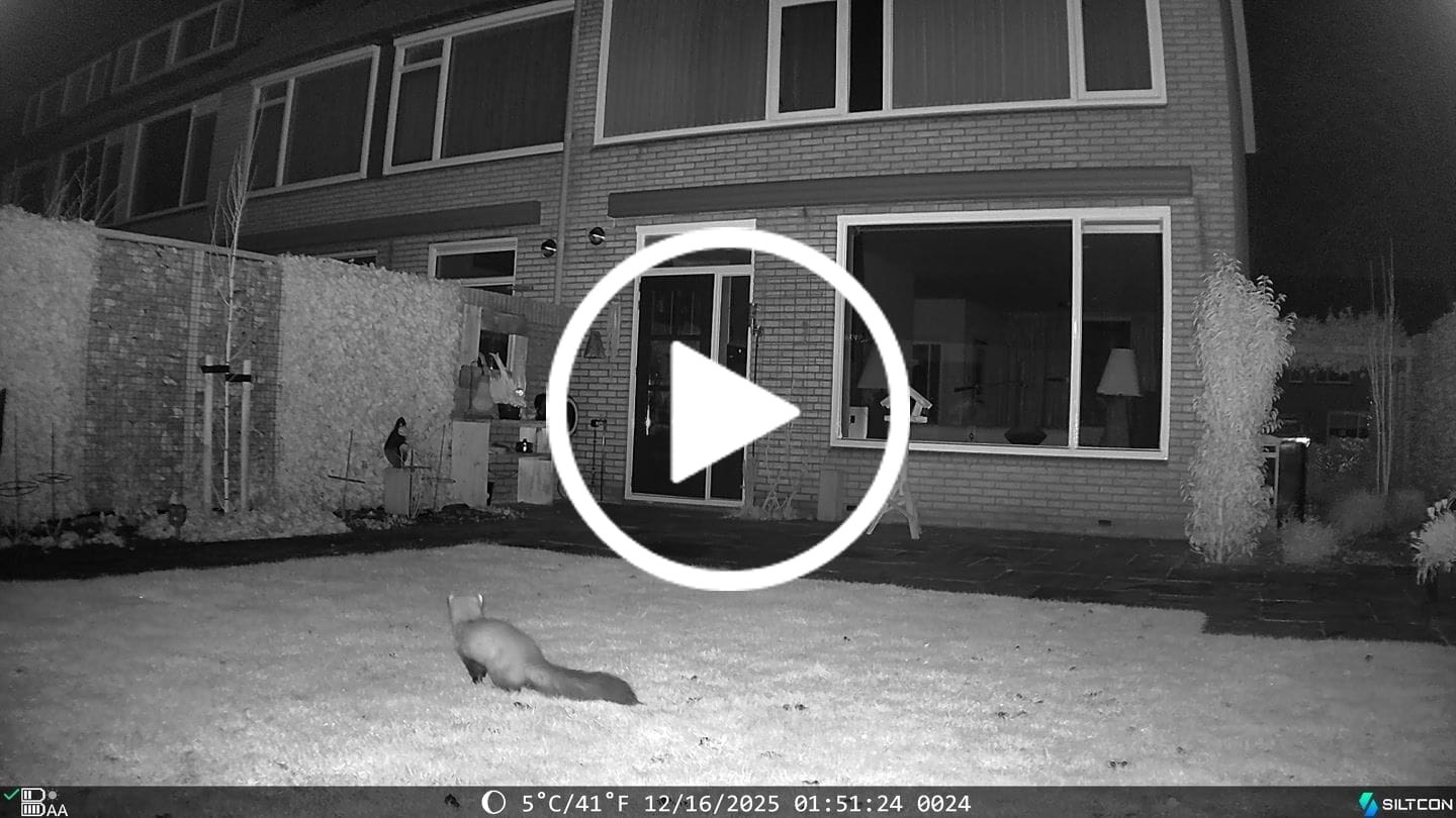 Customer video review of Siltcon® Wildcamera met Zonnepaneel 8K