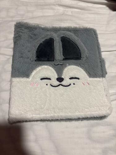 A reviewer's cute and soft Wolf Chan Plush Binder, shown up close on a white surface.