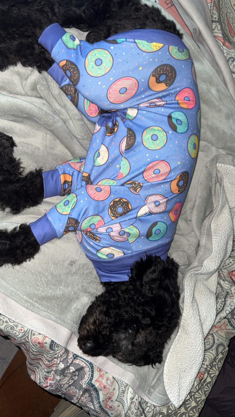 Customer photo review of Dog Pajama - Donuts