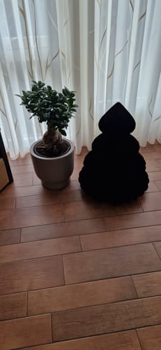 Recensent toont de beige Elho Amber Grail pot met een plant erin op een houten vloer.