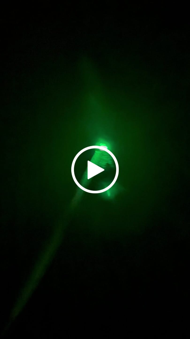 Customer video review of TrekBright® Dog Safety Light