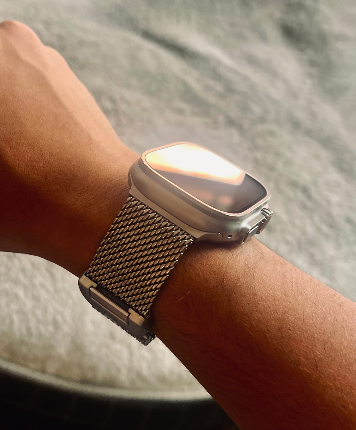 Customer photo review of Titanium Milanese Loop