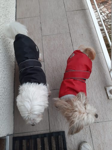 Customer photo review of Complément articulations