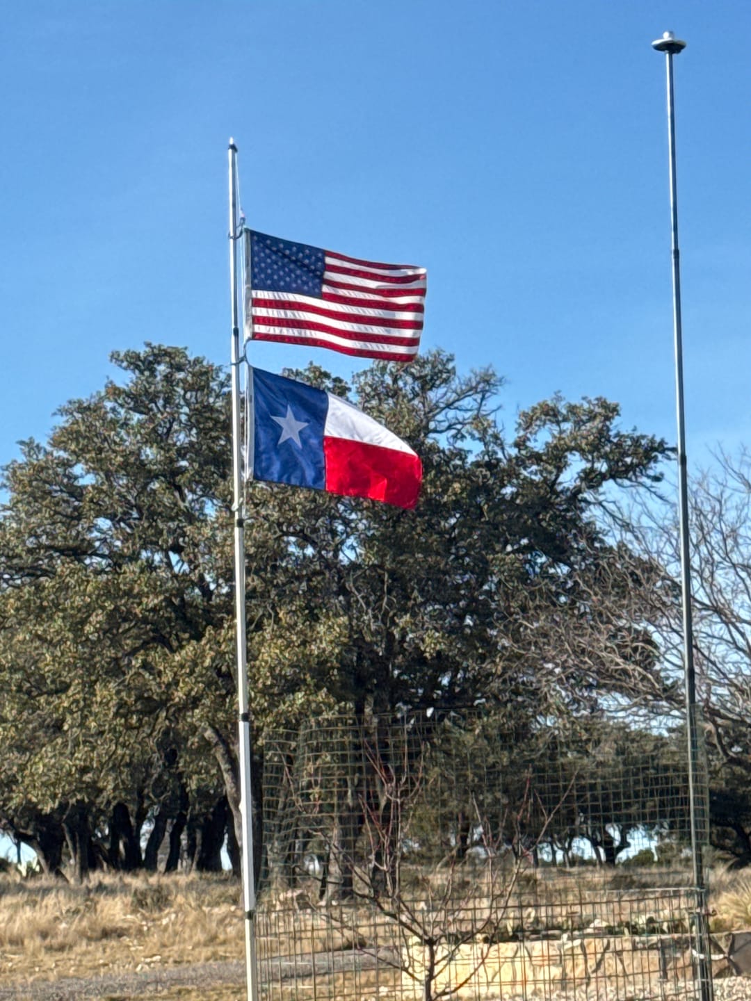 Customer photo review of 3' x 5' Texas Flag