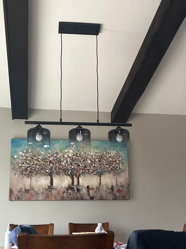 Customer photo review of Contemporary 3-Light Gradual Smoked Glass Island Chandelier