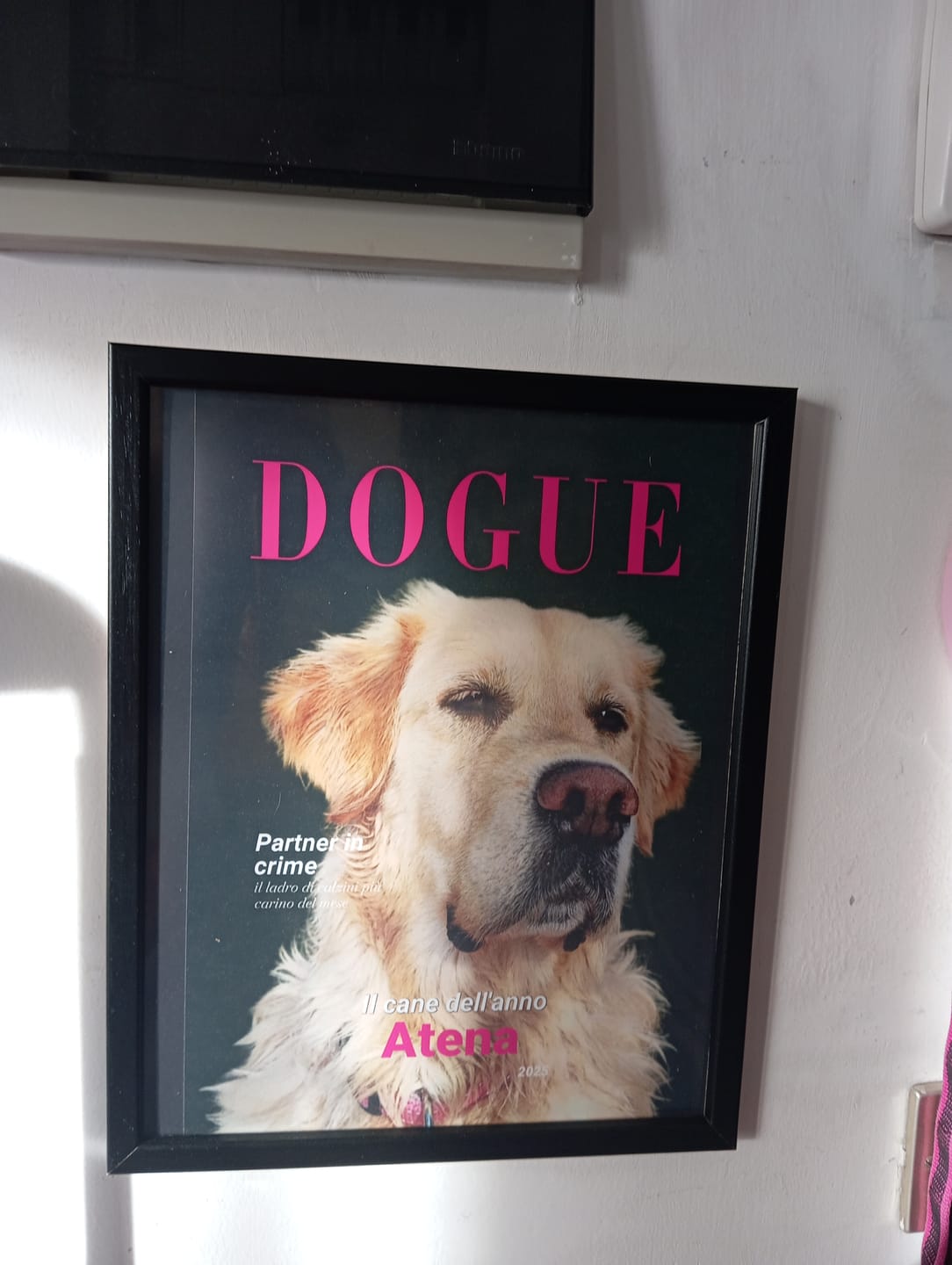 Customer photo review of Dogue - Poster personalizzato
