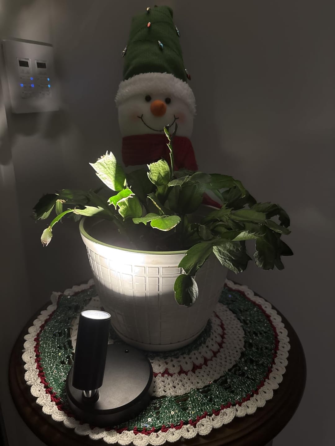 Customer photo review of LightsCordless™ RGB Rechargeable Picture Light