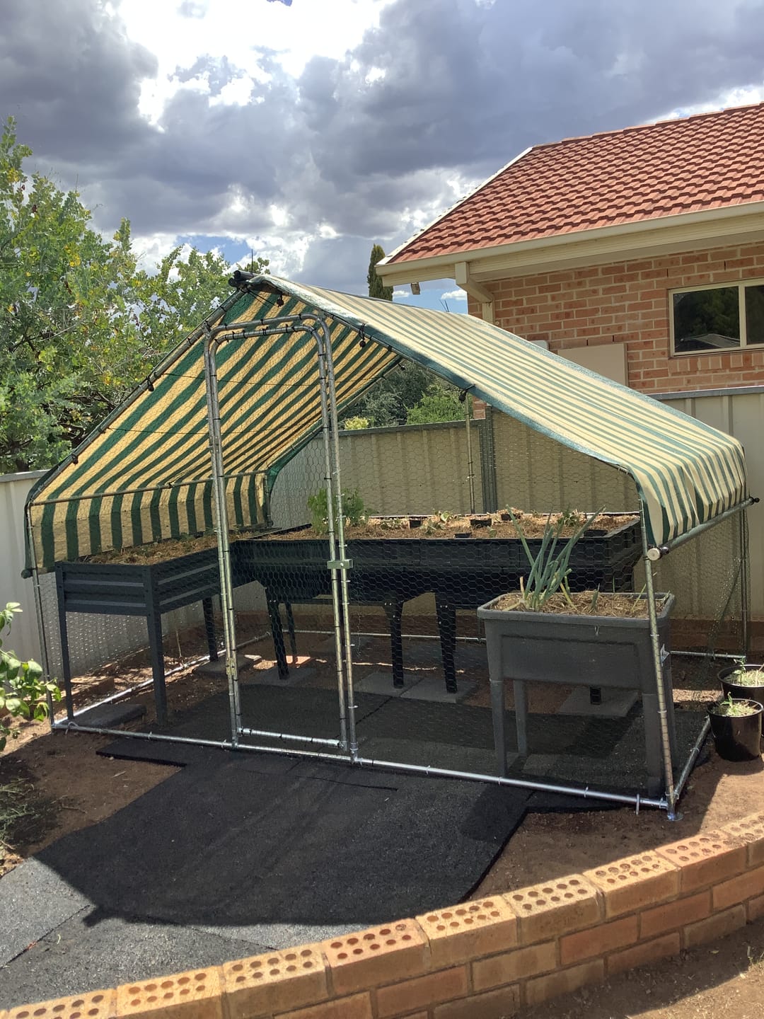 Customer photo review of Metal Chicken Cage Galvanised Steel Large Walk In Chicken Coop
