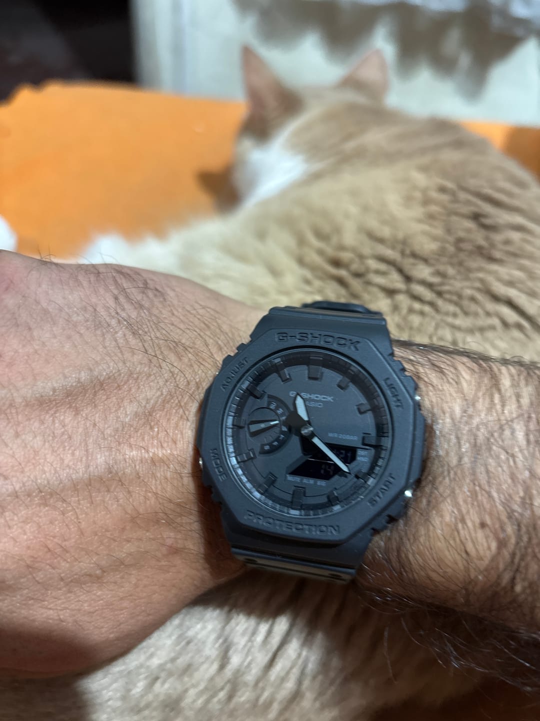 Customer photo review of Reloj Casio G-Shock Royal Oak "Casioak" GA-2100-1A1JF JDM Made in Japan