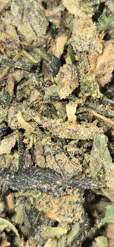 Customer photo review of Exotic Shake