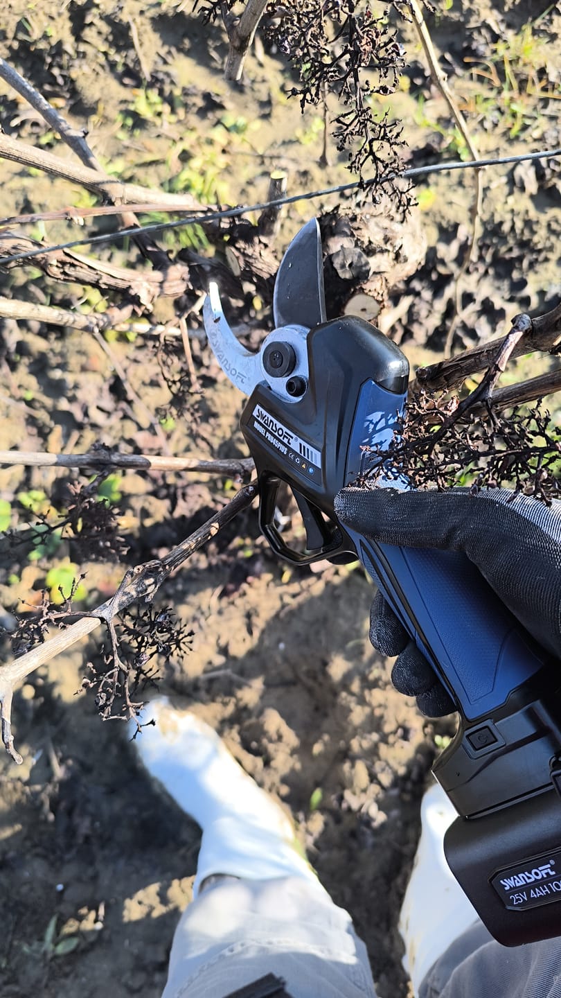 Customer photo review of Forbici Swansoft PRU-45 PLUS