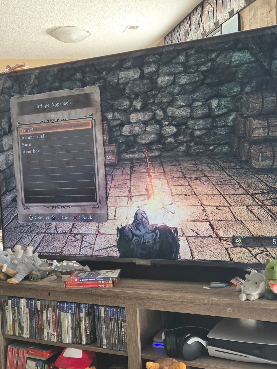 Customer photo review of Dark Souls 2 Items & Souls