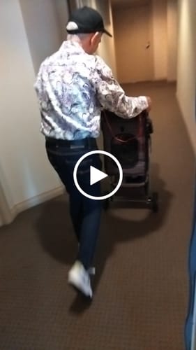 Customer video review of Large Dog Stroller - 3 Wheels