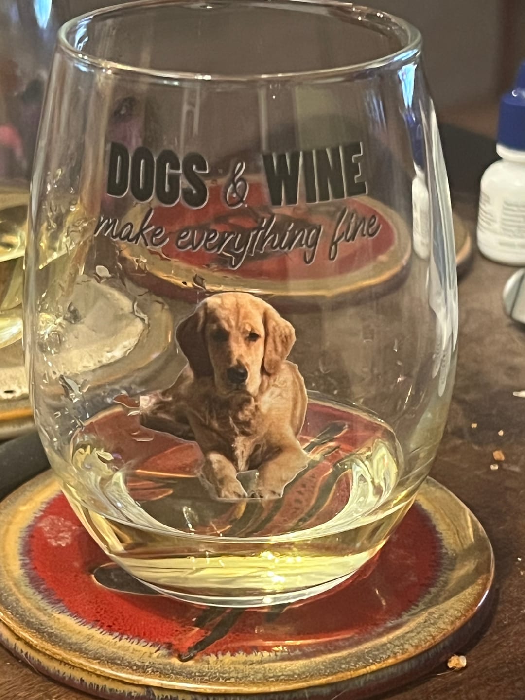 Customer photo review of Pets & wine make me fine -  Personalized Wine Glass