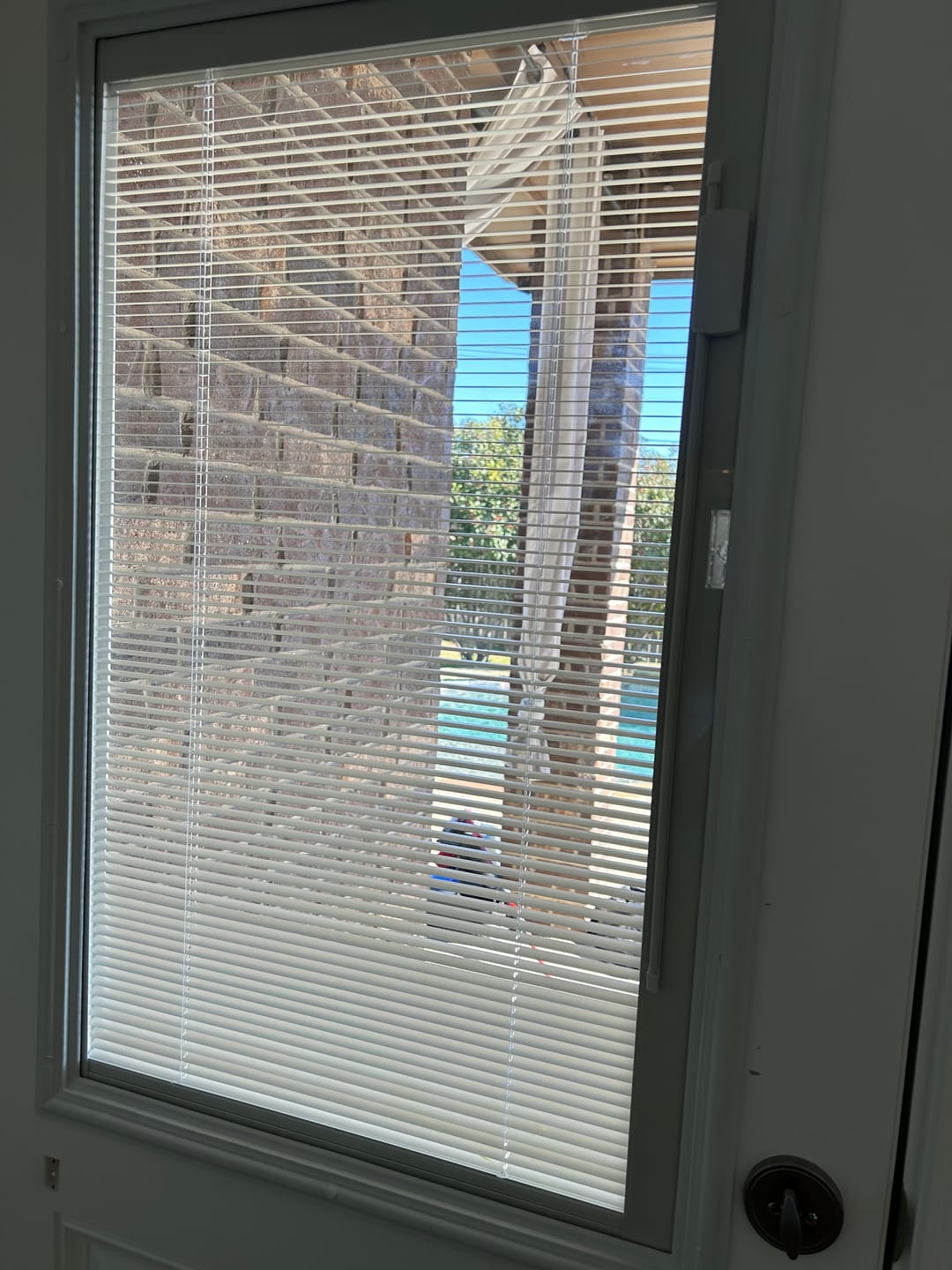 Customer photo review of Raise & Lower Blinds Glass and Frame Kit (Half Lite)