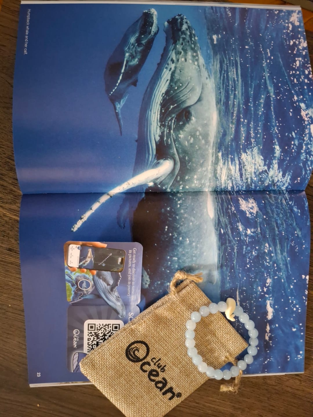 Customer photo review of Whale Tracking Bracelet