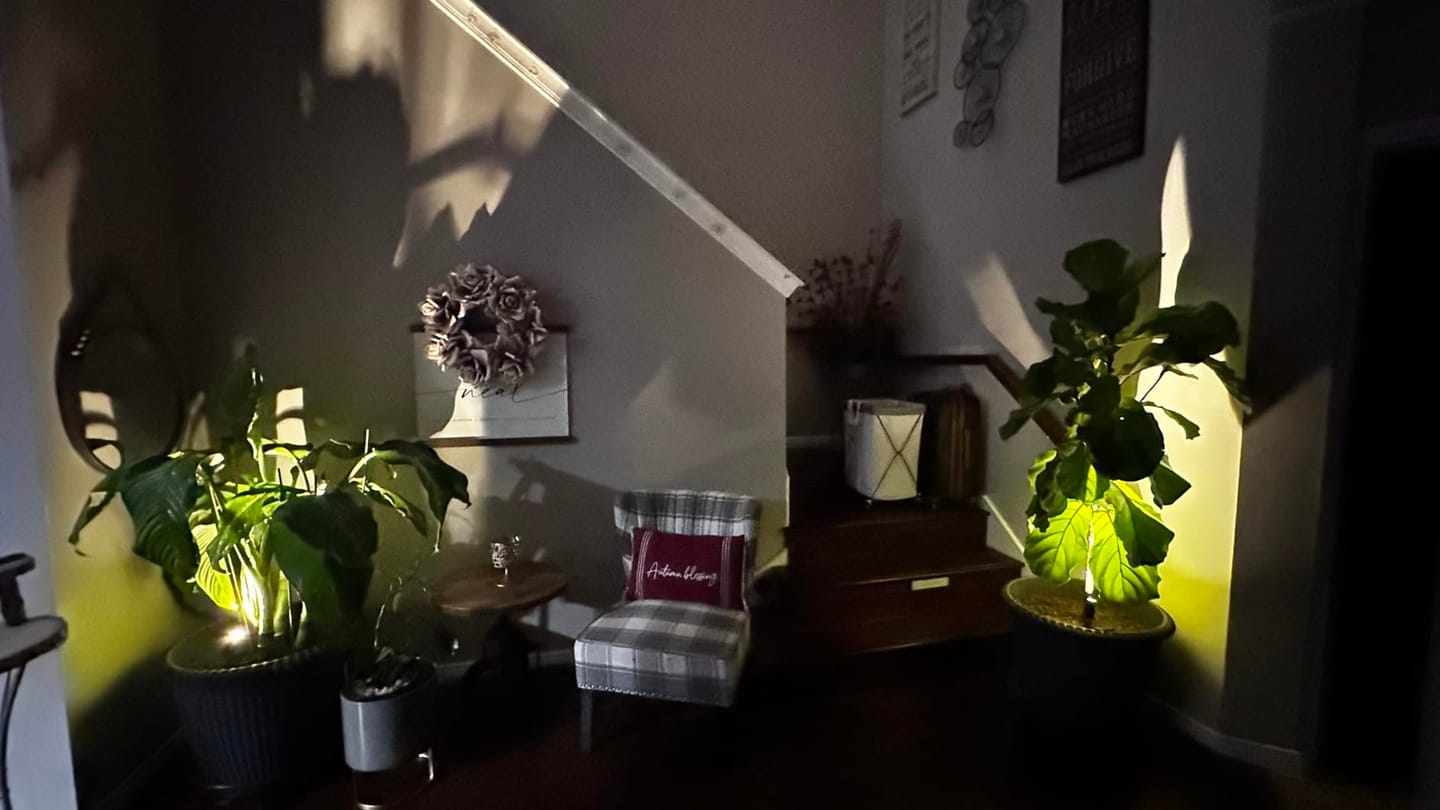 Customer photo review of LightsCordless™ RGB Rechargeable Picture Light