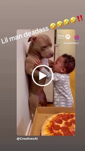 Customer video review of Greenhouse Smalls