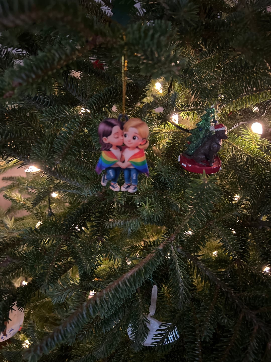 Customer photo review of Pride Month LGBT Couple Love Is Love Personalized Acrylic Christmas Ornament
