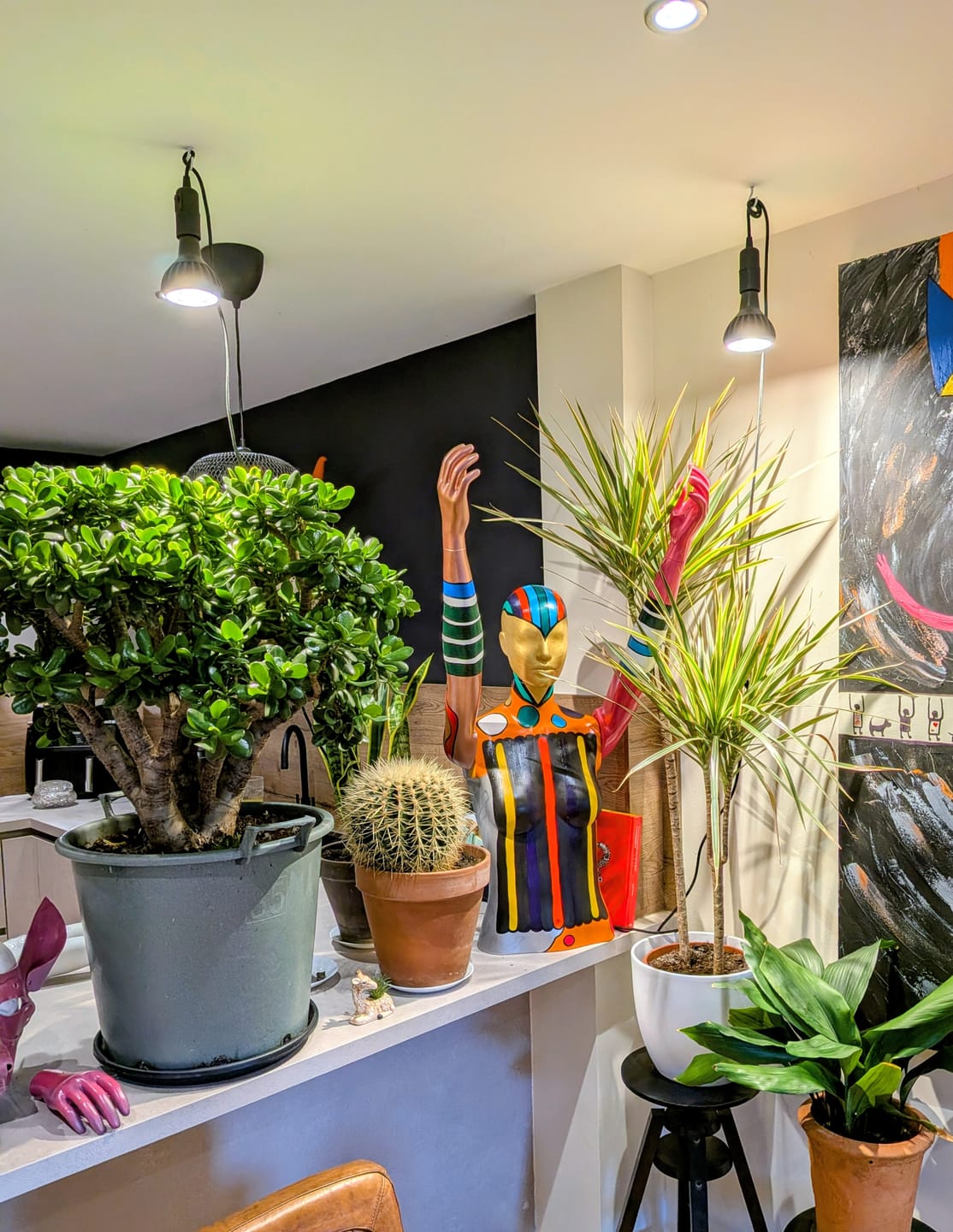 Customer photo review of Pianta Grow Light and Enna Plug-in Ceiling Pendant Bundle