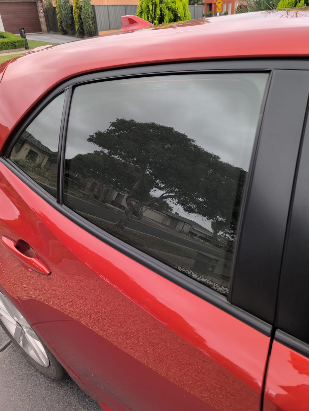 Customer photo review of Toyota Corolla Rear Window Shades