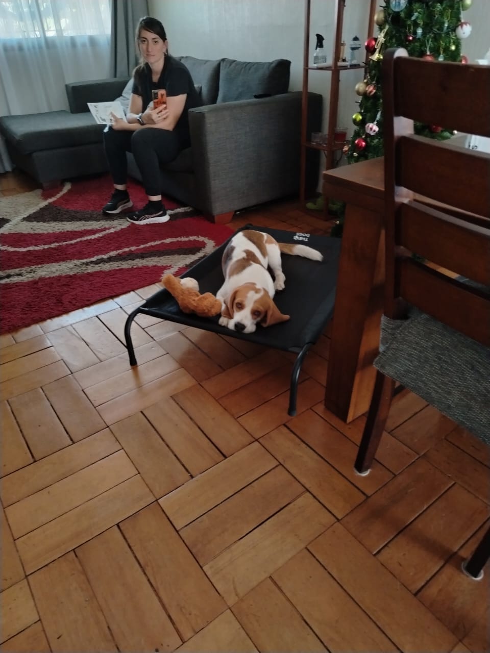 Customer photo review of Cama Elevada THE DOGS: Frescura y Ventilación