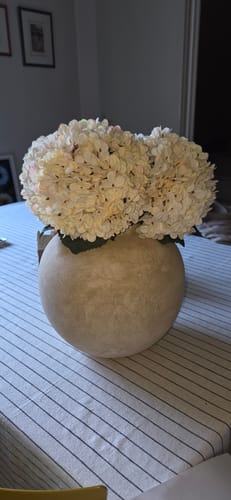 Customer photo review of Grande Hortensia (5 tiges) - Crème