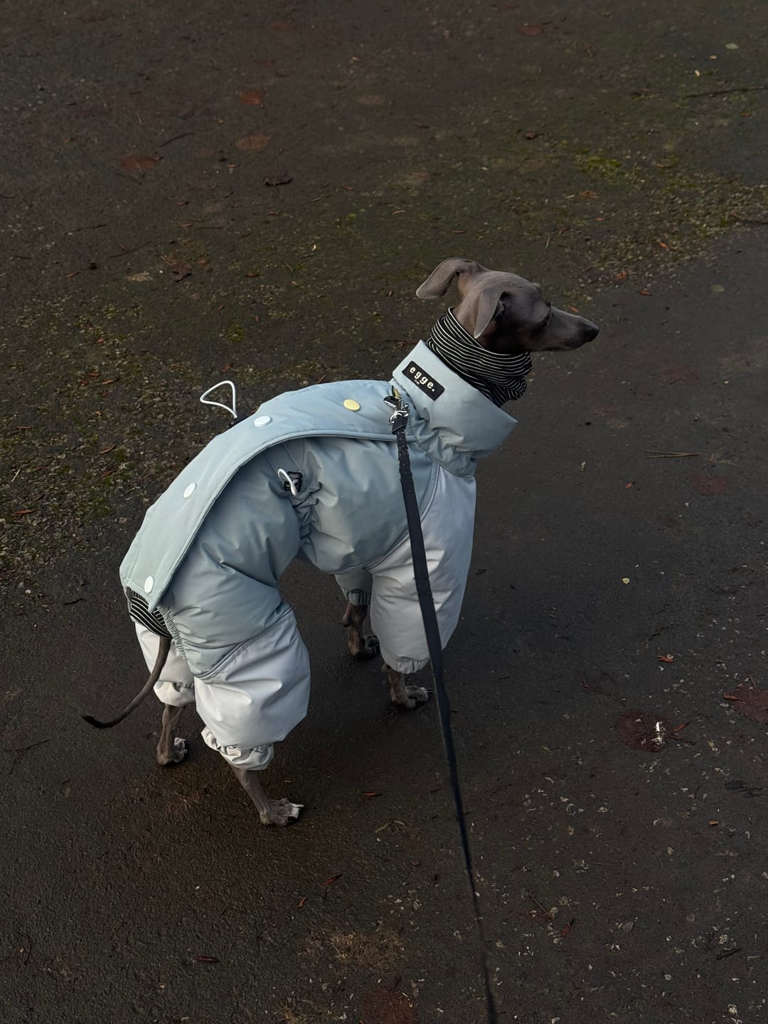 Customer photo review of Autumn Breeze Outdoor Suit