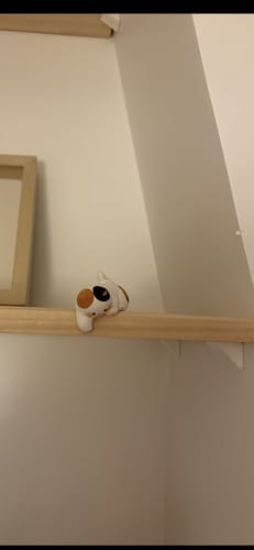 Customer photo review of Figurine Chat Neko Joueur