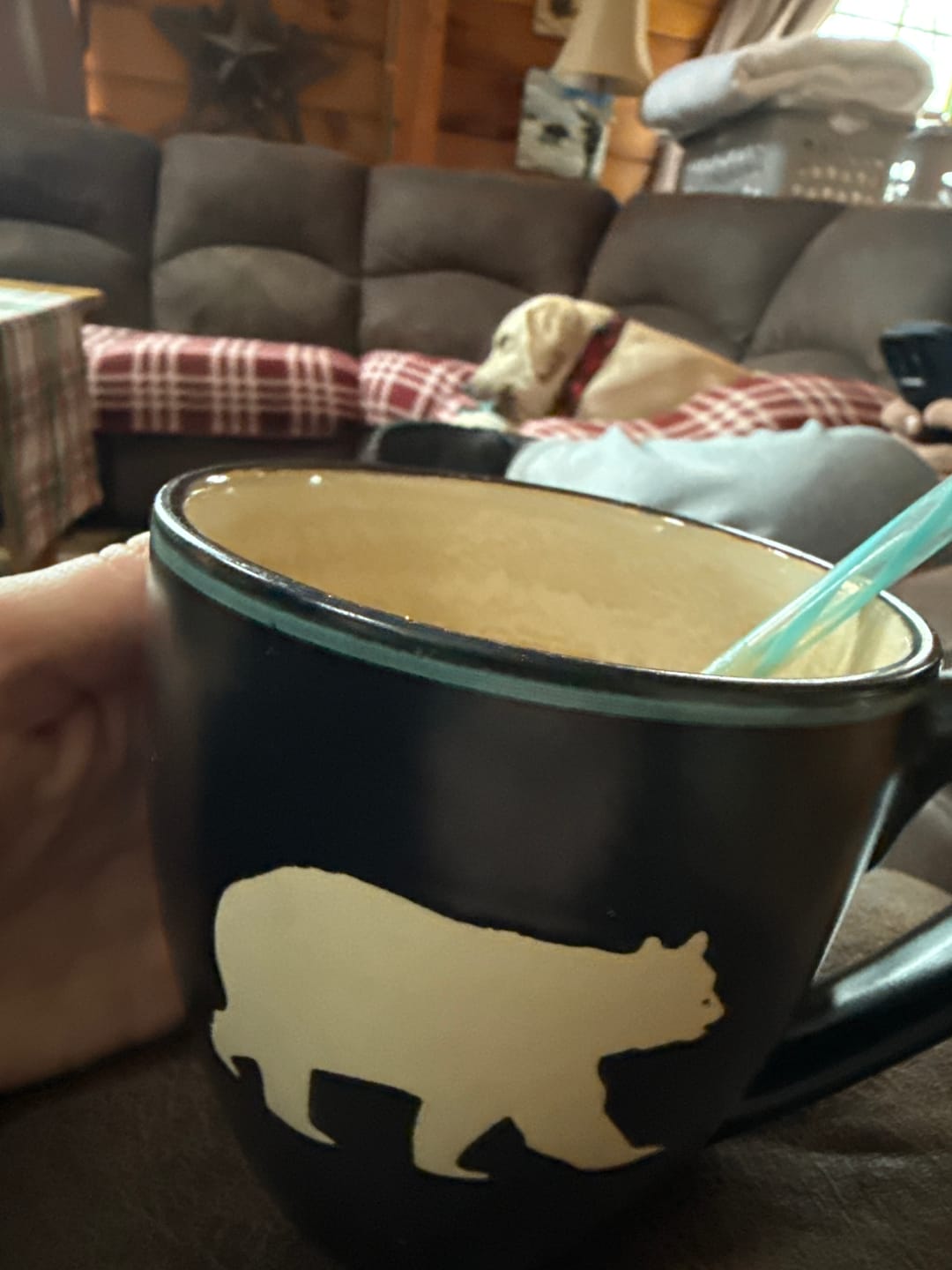 Customer photo review of Whey Protein
