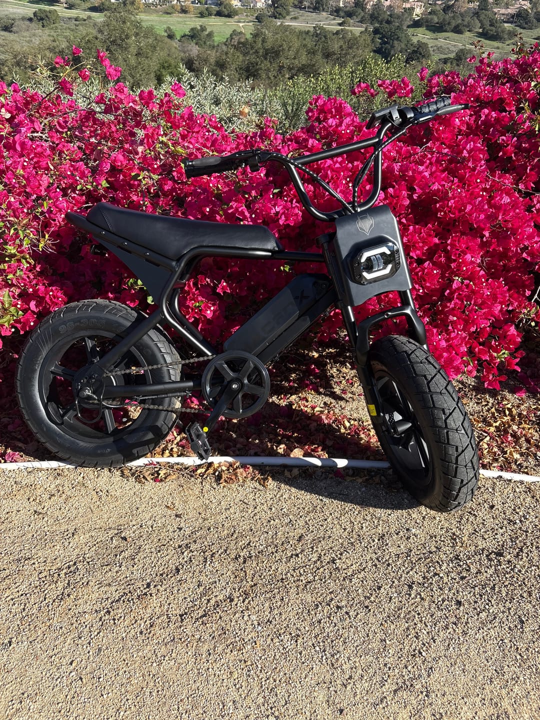 Customer photo review of Macfox E-bike M16
