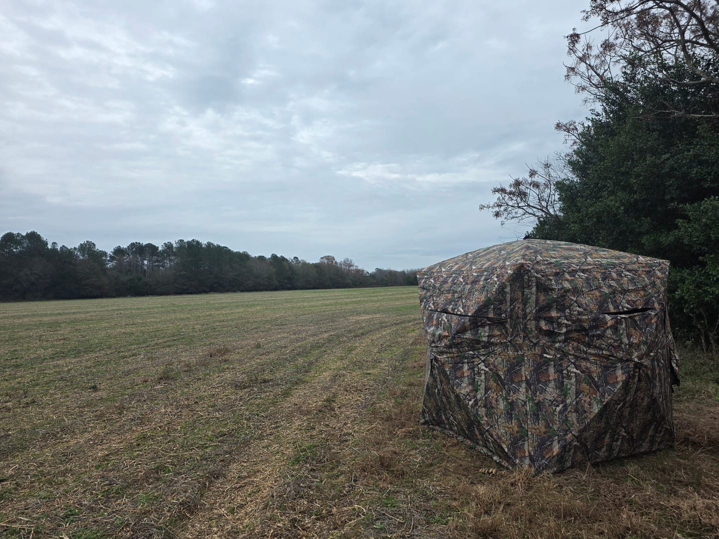 Customer photo review of VisMax See Through Blind | 270° Pop Up 3-4 Man Deer Blind | Portable Ground Blind Hunting for Sale with Hunters Comfort Design