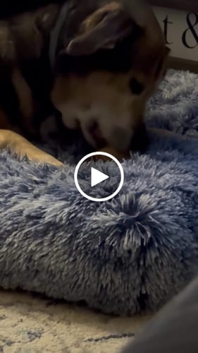 Customer video review of Smoked Beef Marrow Bone