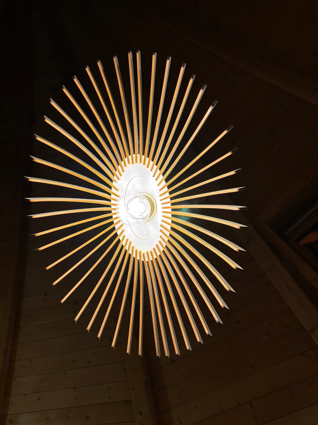 Customer photo review of Cygne | Suspension
