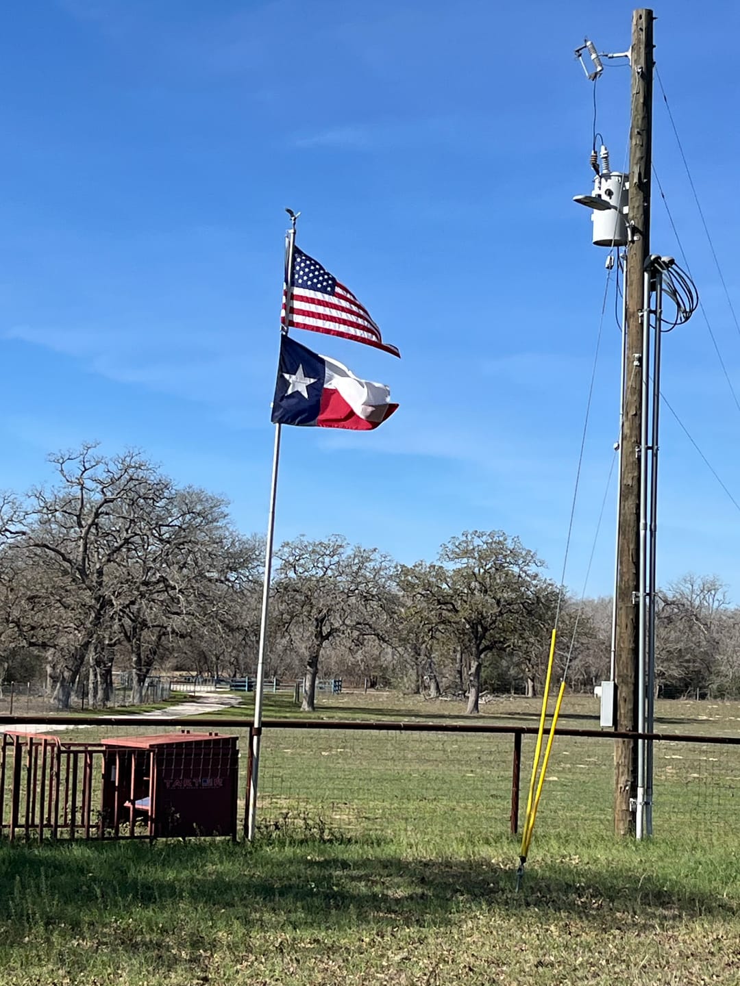 Customer photo review of Texas Flag with Appliqued Star & Sewn Stripes