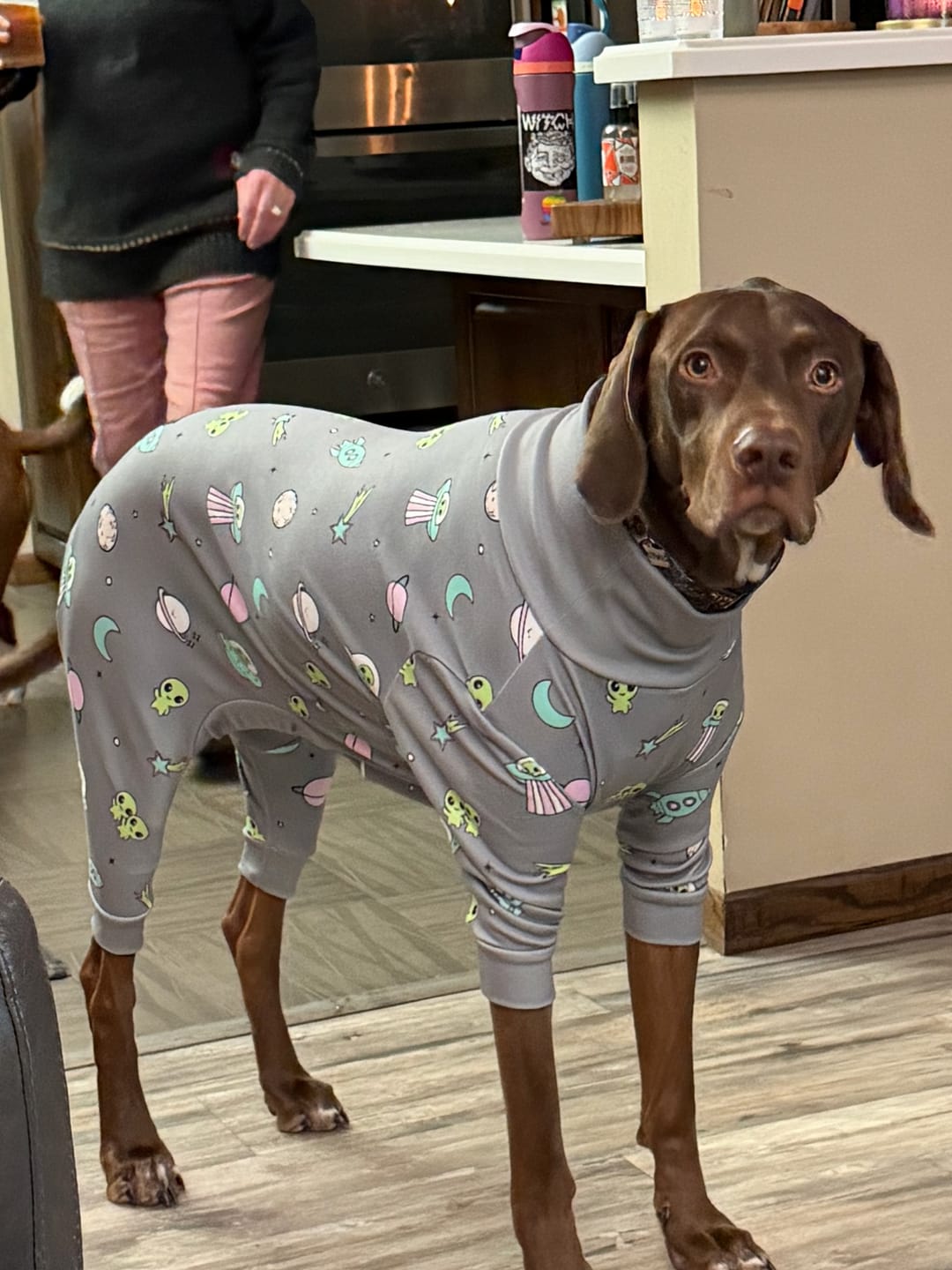 Customer photo review of Dog Pajama - Alien