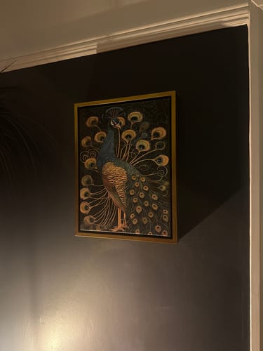 Customer photo review of Vintage Peacock No4 Print